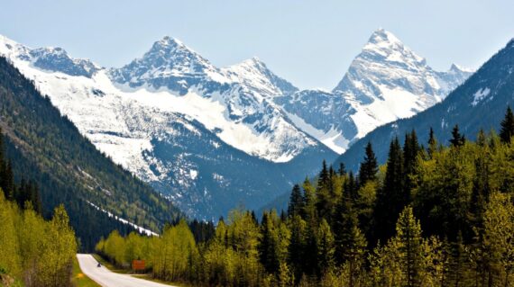 Rogers Pass in the Canadian Rockies - new foliage on the trees against a backdrop of snow-capped mountain peaks