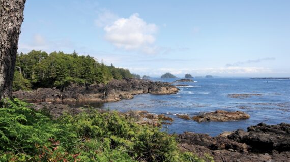 The Wild Pacific Trail located in Ucluelet with the rugged cliffs and shoreline of the westcoast of Vancouver Island