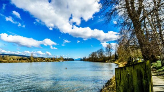 The mighty Fraser River as it flows past the historic village of Fort Langley under blue sky and some clouds