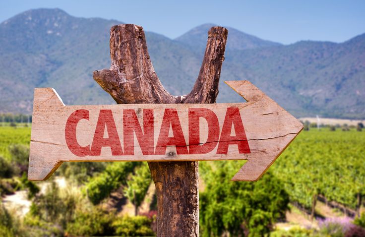 Canada soars in worldwide travel searches